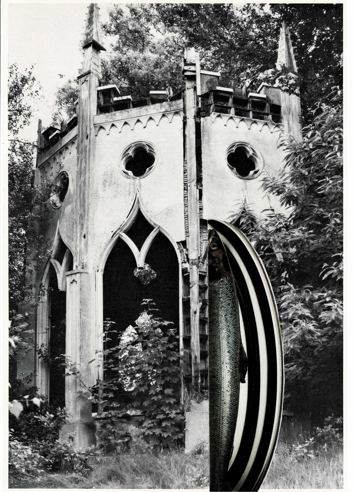 Untitled (The Gothic Temple, Painshill Park)