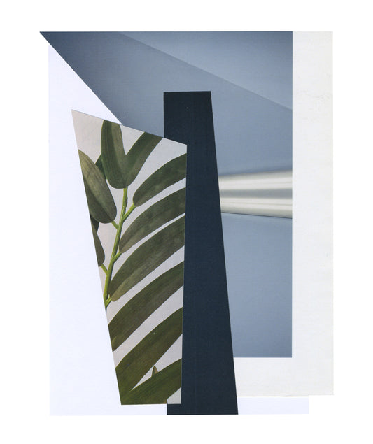 Dynamic collage combining bold abstract shapes with plants imagery, evoking a sense of creativity and movement.